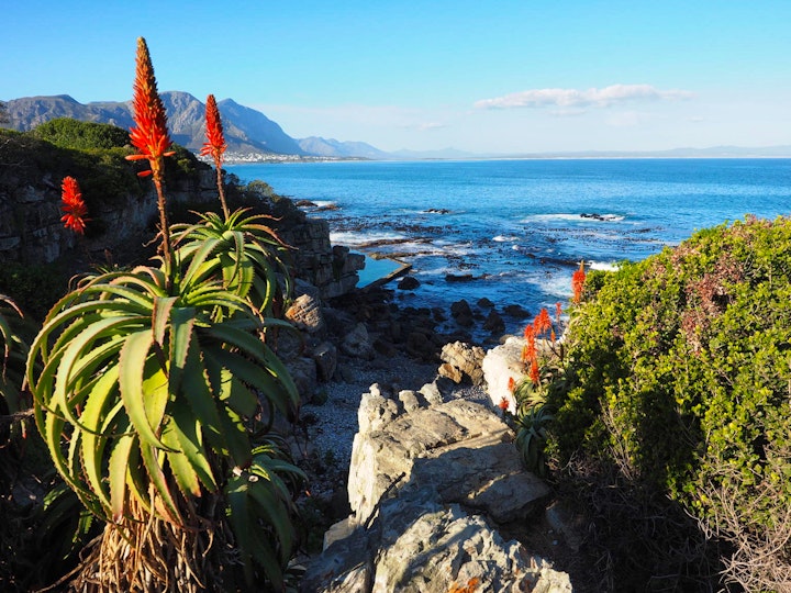 Western Cape Accommodation at Ocean Bliss | Viya