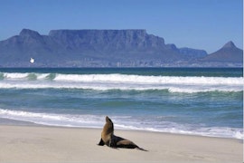 Milnerton Rural Accommodation at Sea Spray | Viya