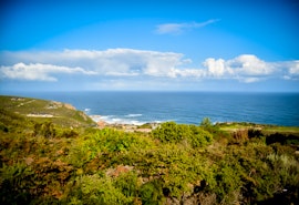 Garden Route Accommodation at  | Viya