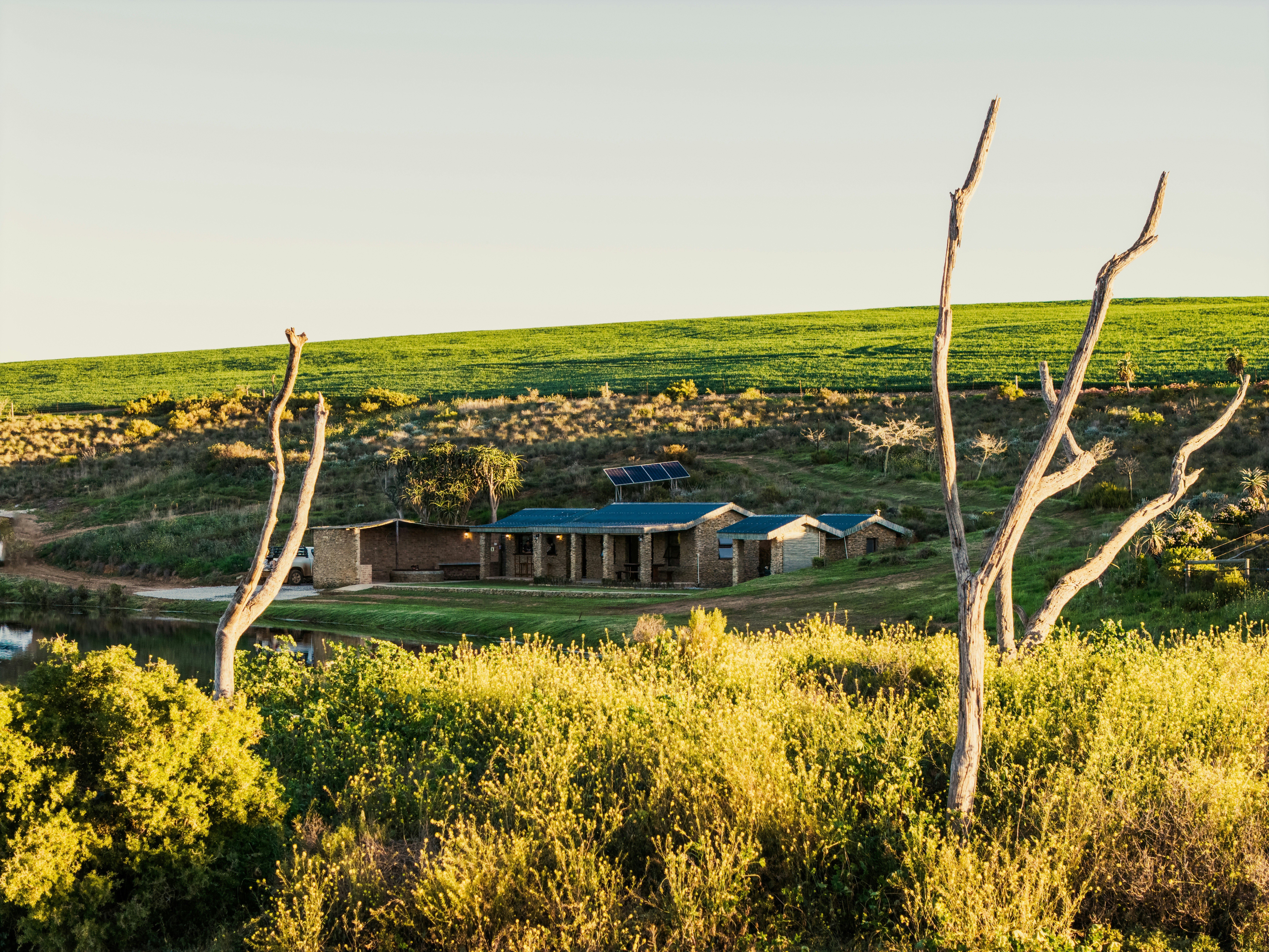 The Damhuisies image no 1 of 24