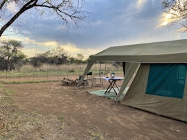 Dinokeng Game Reserve Accommodation at  | Viya