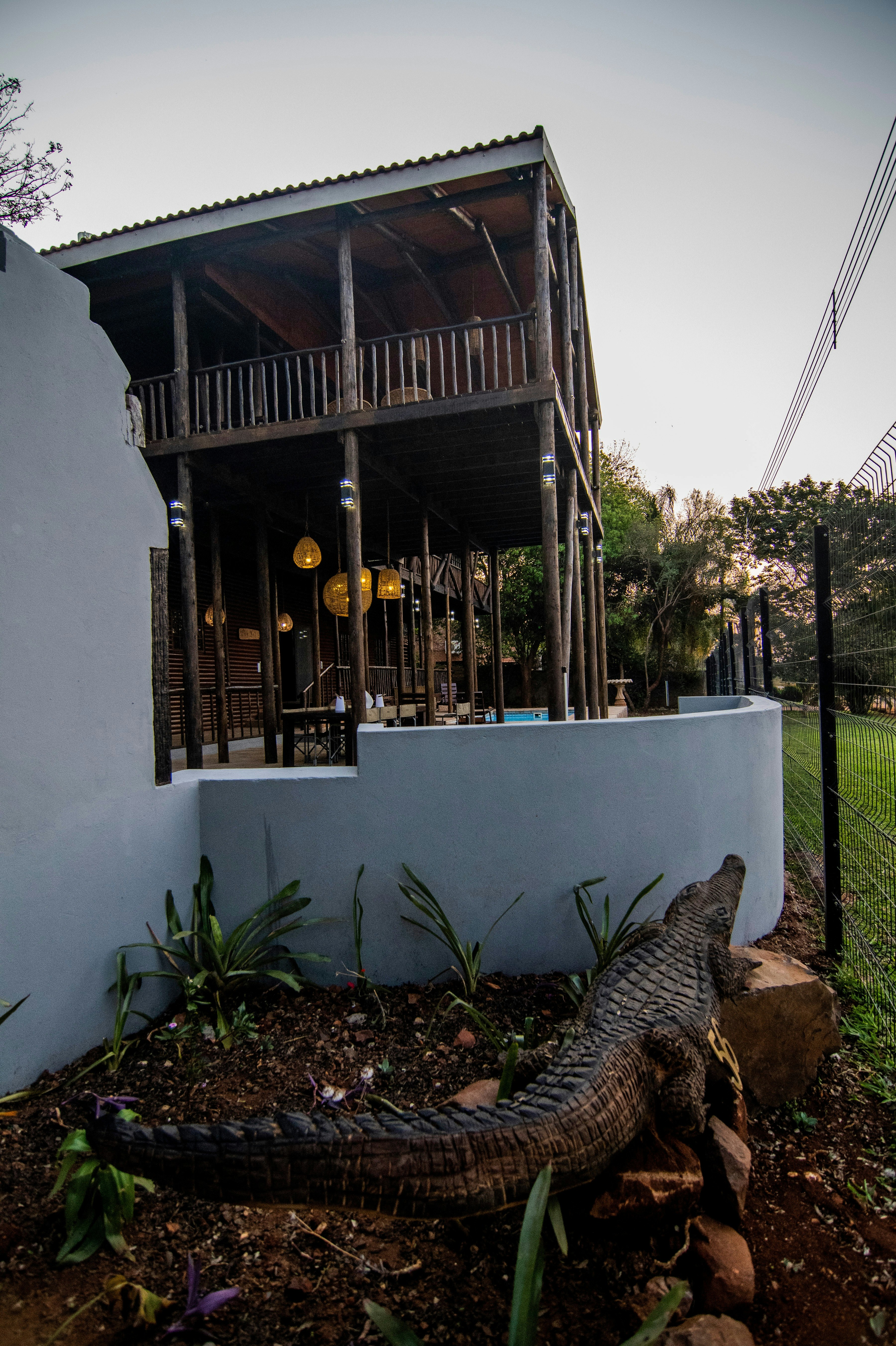 56 @ Crocodile image no 36 of 43