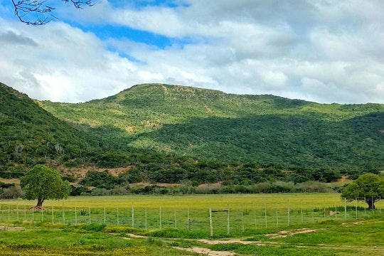 Eastern Cape Accommodation at  | Viya