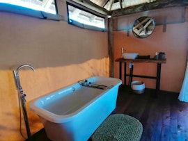 Dinokeng Game Reserve Accommodation at Cikeru Bush Camp - Buffalo | Viya