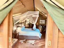 Kruger National Park South Accommodation at  | Viya