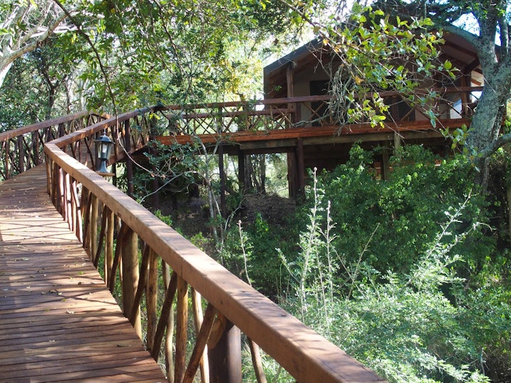 Limpopo Accommodation at Lion Tree Top Lodge | Viya