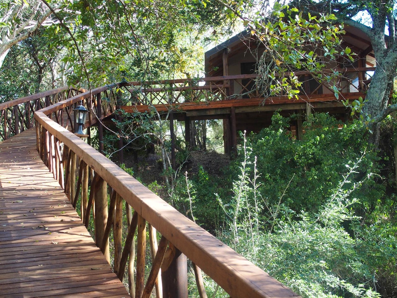 Hoedspruit Accommodation at  | Viya