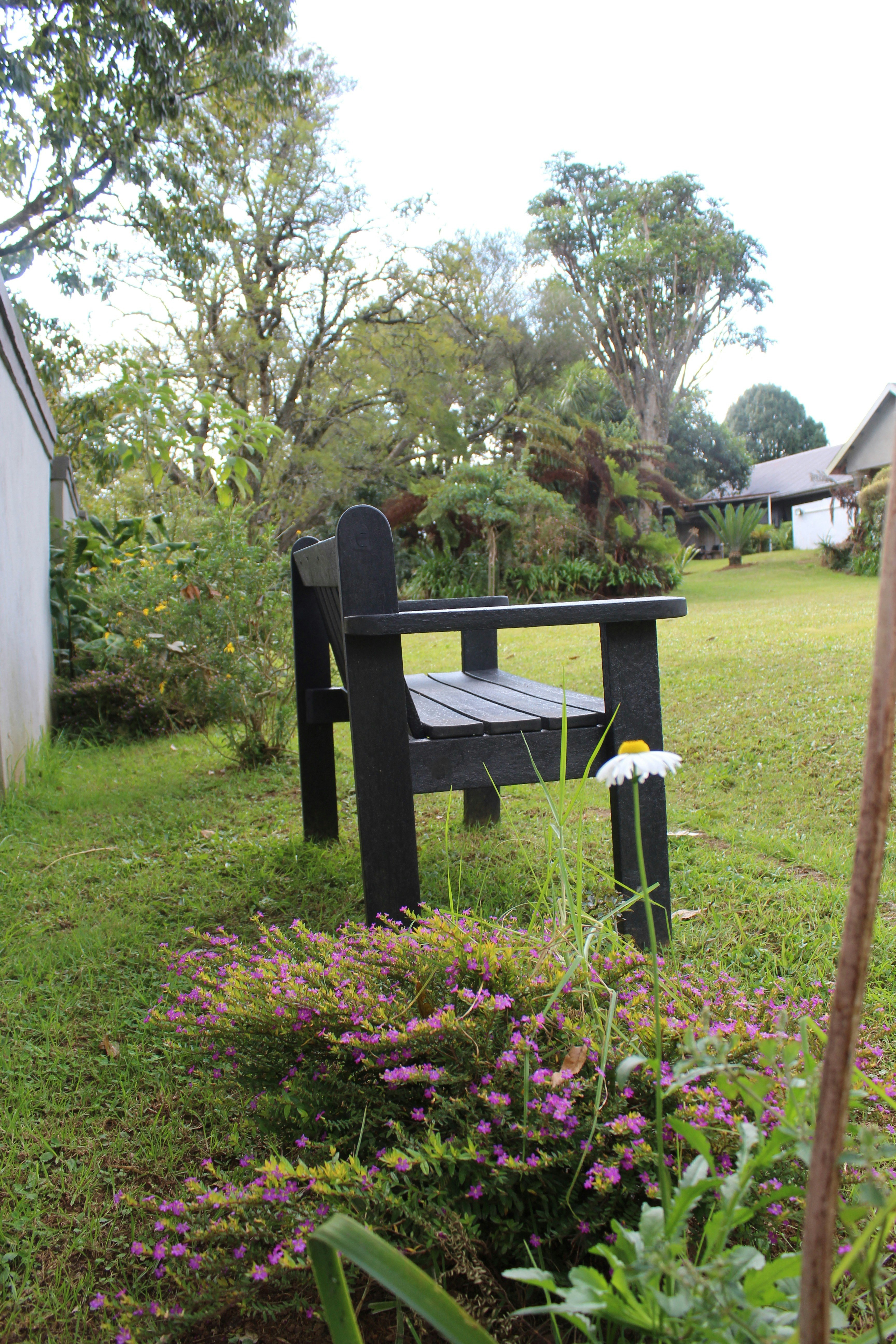 Kanyane @ Graskop image no 8 of 13