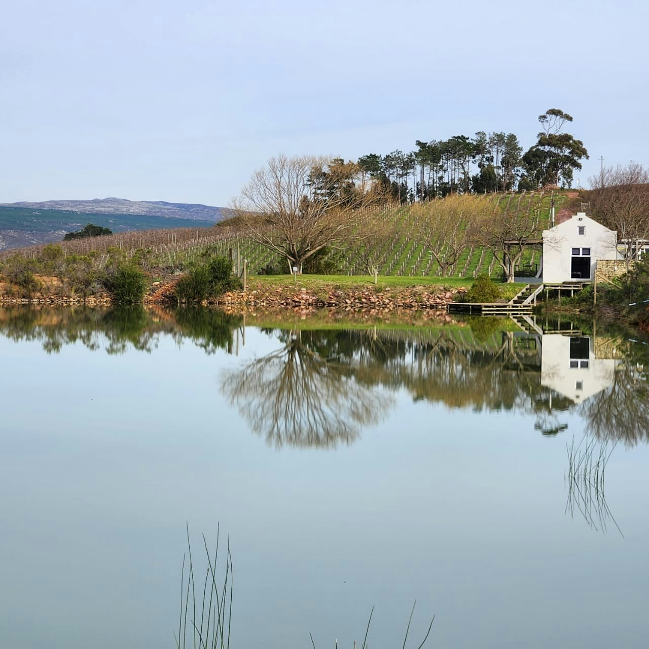 Pumphouse Honeymoon Cottage image no 1 of 11