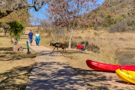 Limpopo Accommodation at Waterberg Game Park | Viya