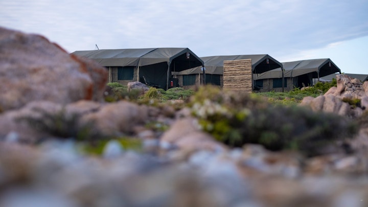 Northern Cape Accommodation at Namaqua Flower Beach Camp | Viya