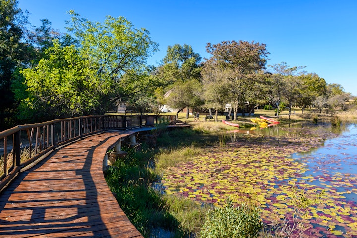 Limpopo Accommodation at Waterberg Game Park | Viya