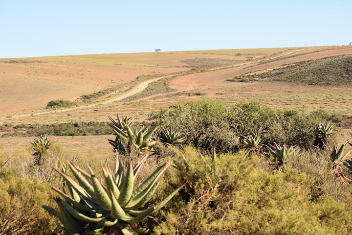 Overberg Accommodation at Aloe Canyons Guestfarm | Viya