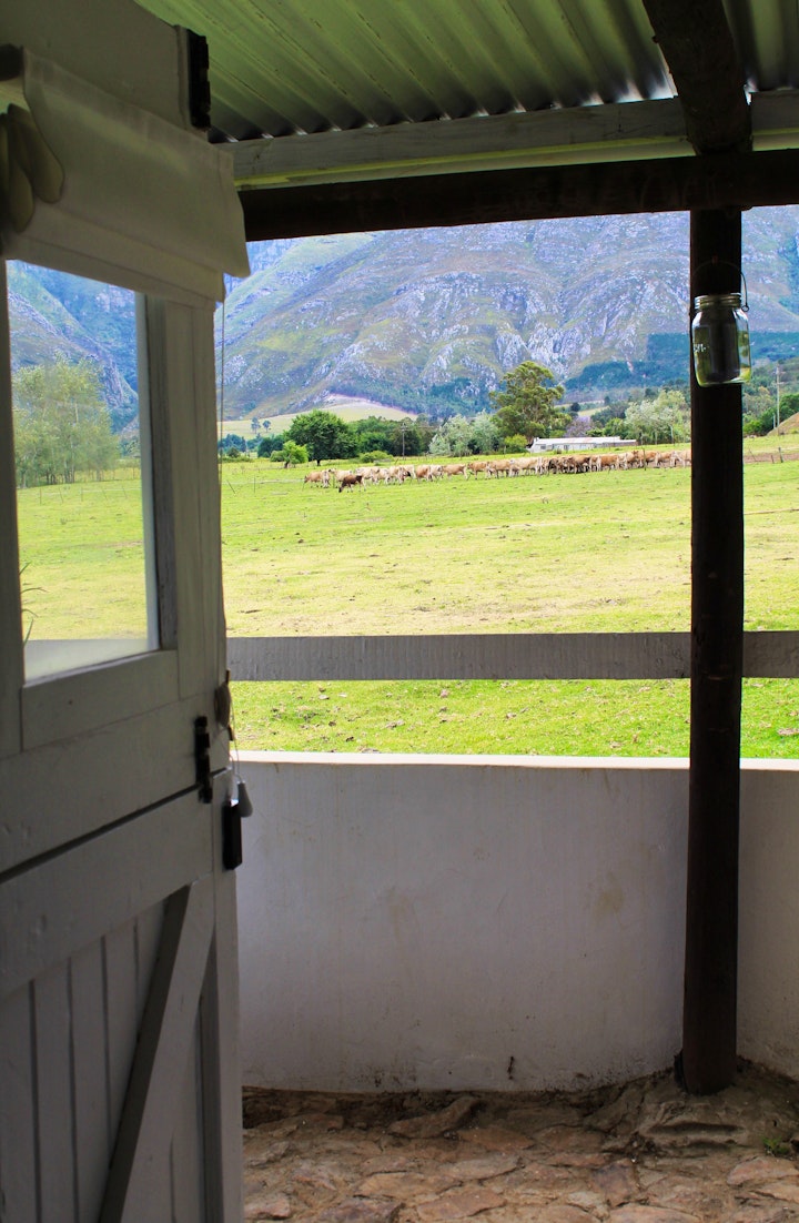 Overberg Accommodation at Arumvale Country Retreat | Viya