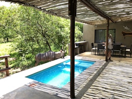 Kruger National Park South Accommodation at Kruger Willows | Viya