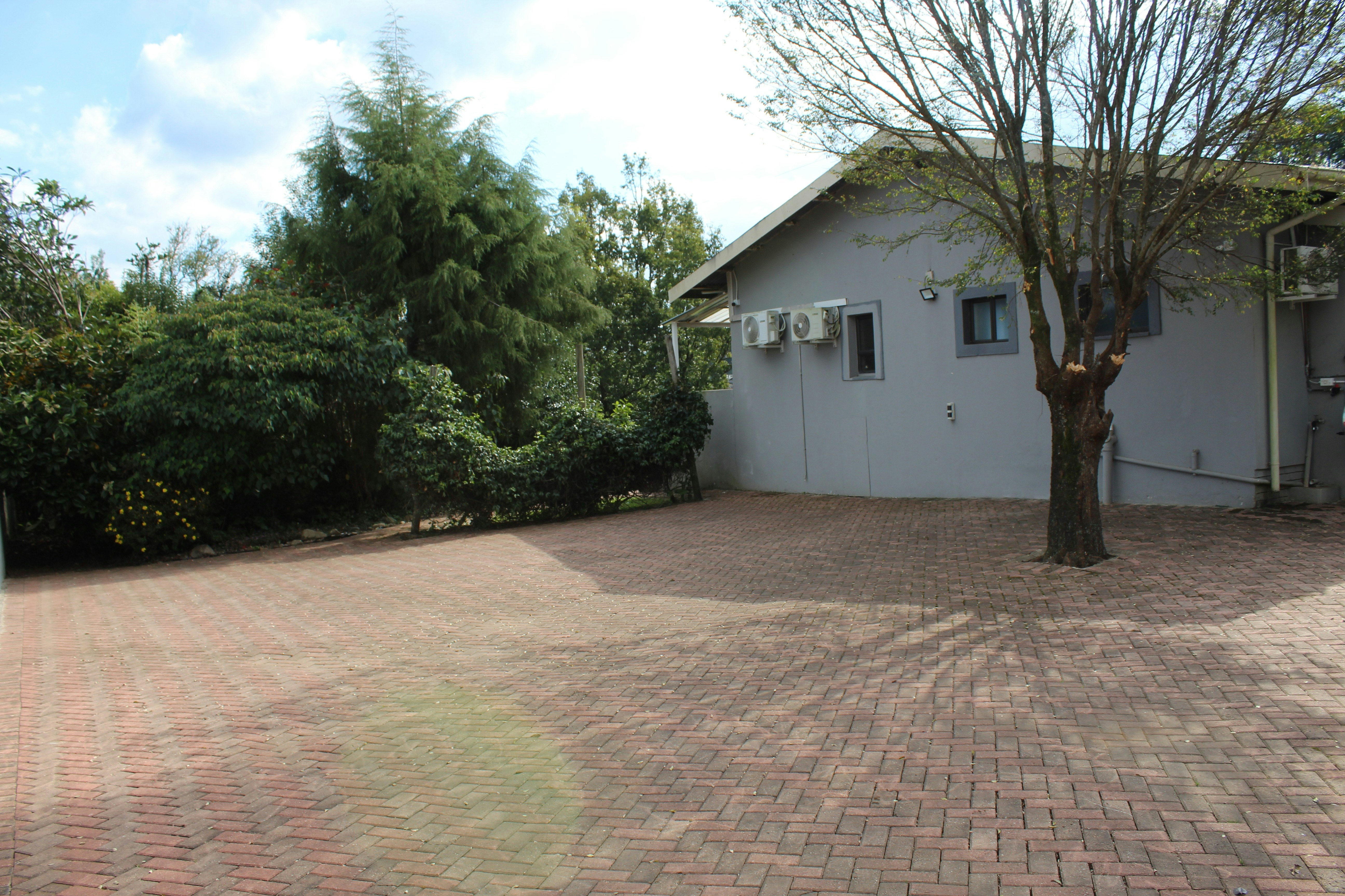Kanyane @ Graskop image no 4 of 13