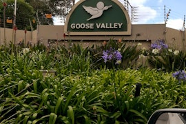 Garden Route Accommodation at Goose Valley Apartment L4 | Viya