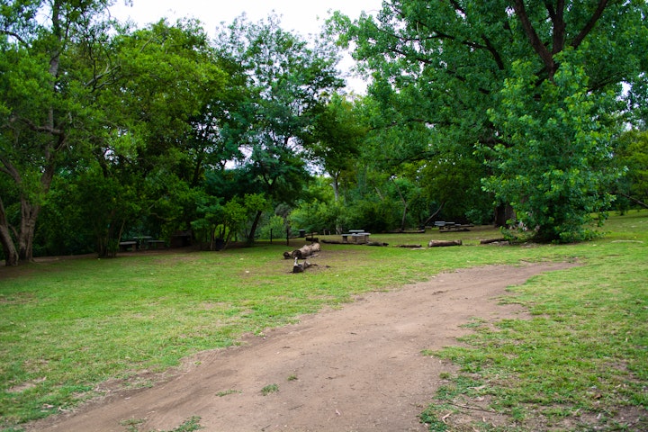 Cradle Of Humankind Accommodation at The Crooked Tree | Viya