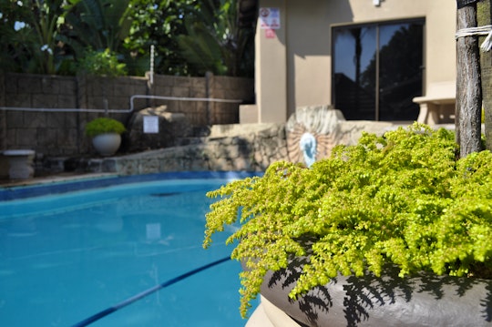 Rustenburg Accommodation at  | Viya