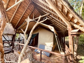 Kruger National Park South Accommodation at  | Viya