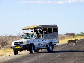 Namibia Accommodation at Etosha Safari Campsite | Viya