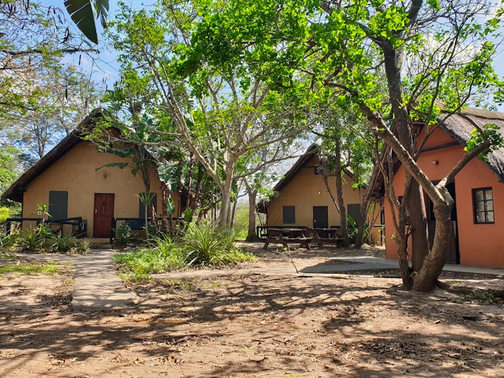 North Coast Accommodation at Pumusa Bushcamp | Viya