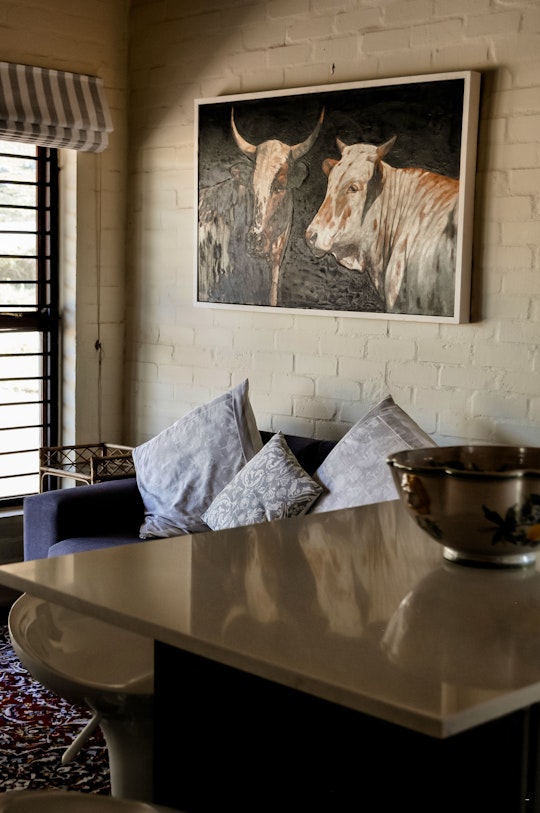 Betty's Bay Accommodation at  | Viya