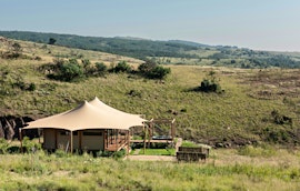 Cradle Of Humankind Accommodation at  | Viya