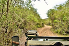 Garden Route Accommodation at Garden Route Safari Camp | Viya