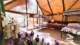 Mpumalanga Accommodation at  | Viya