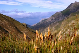 Western Cape Accommodation at Boesmanskloof Waboom Cottage - No.2 | Viya