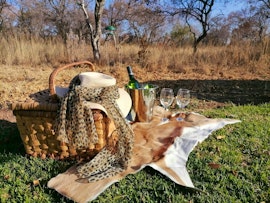 Dinokeng Game Reserve Accommodation at Cikeru Bush Camp - Buffalo | Viya