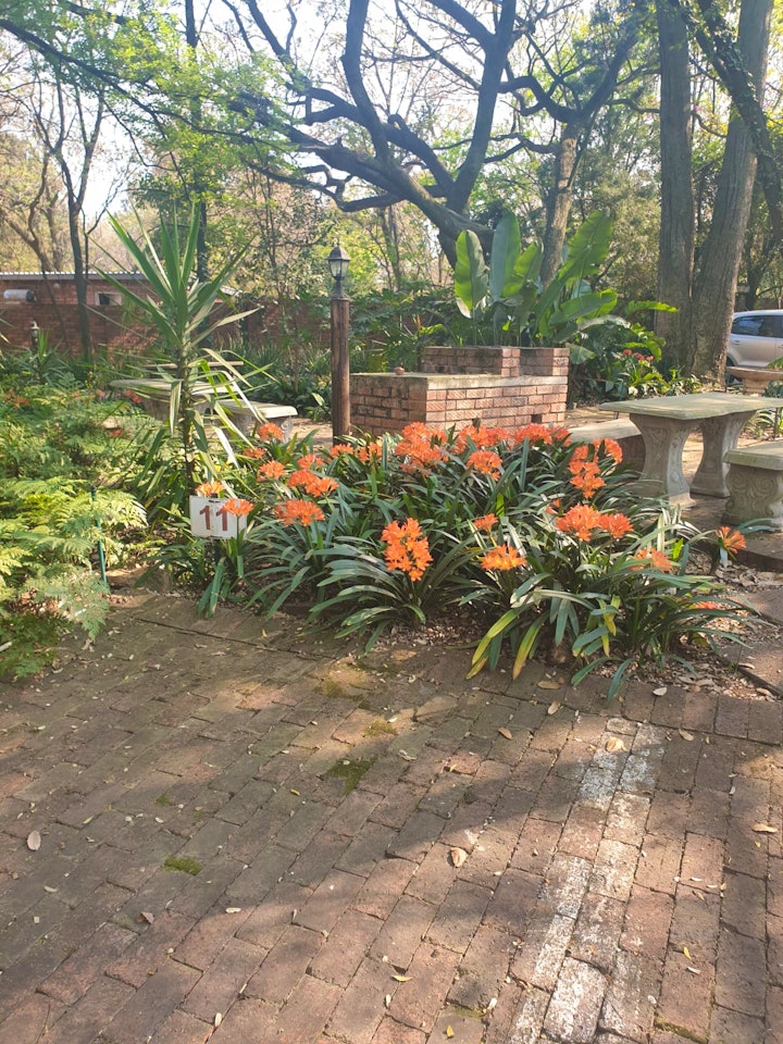 Pretoria Accommodation at Lapalosa Lodge | Viya