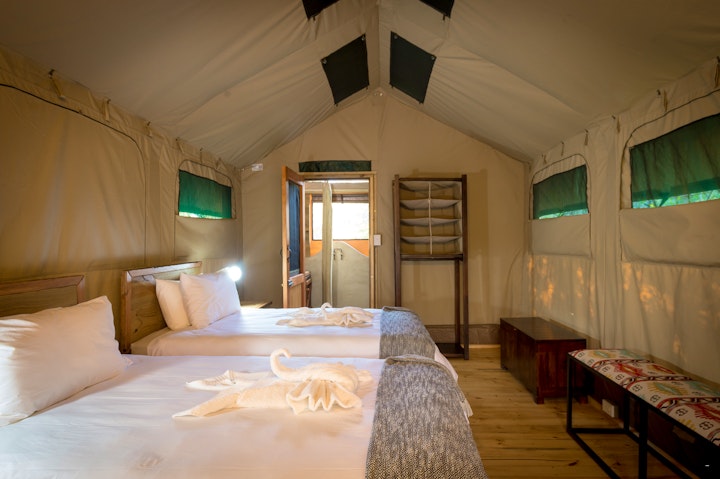 Kruger To Canyons Accommodation at Bundox Safari Lodge | Viya