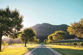 Boland Accommodation at Chardonnay Suite @ La Roche Estate | Viya