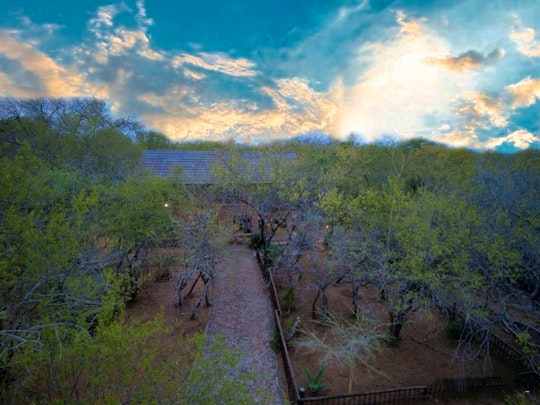 Kruger National Park South Accommodation at  | Viya