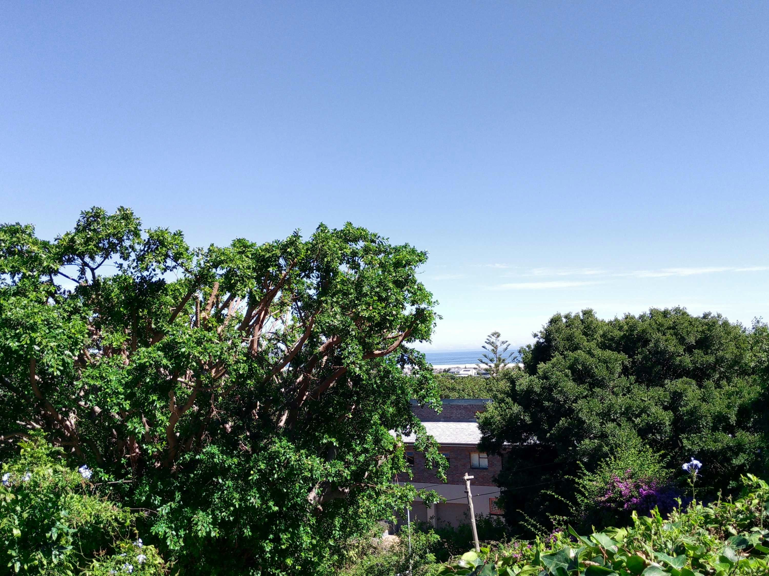 Palmcove Stay image no 29 of 29