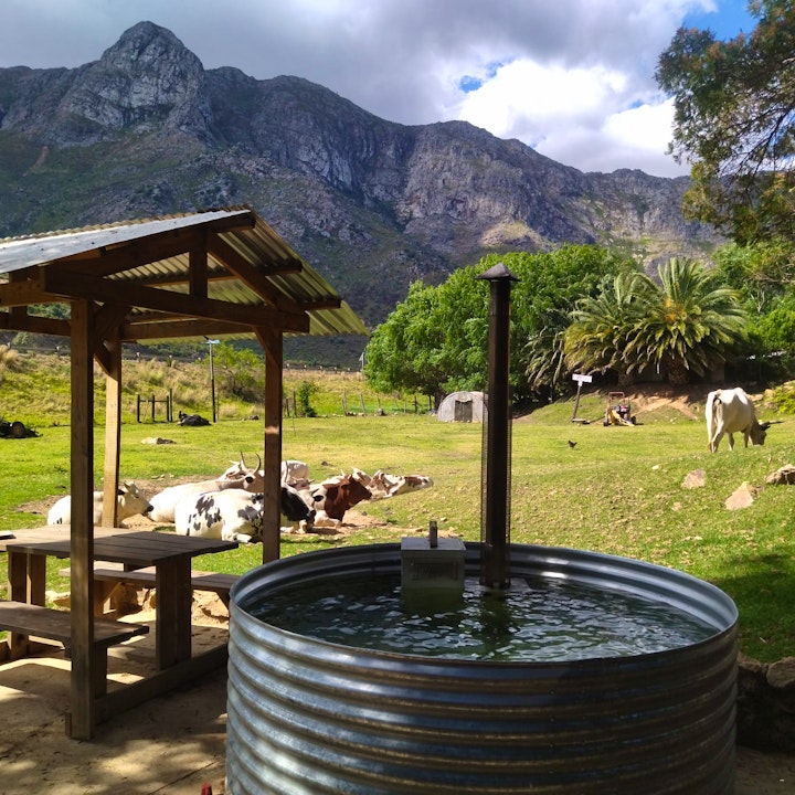 Western Cape Accommodation at Hillbilly Farm | Viya
