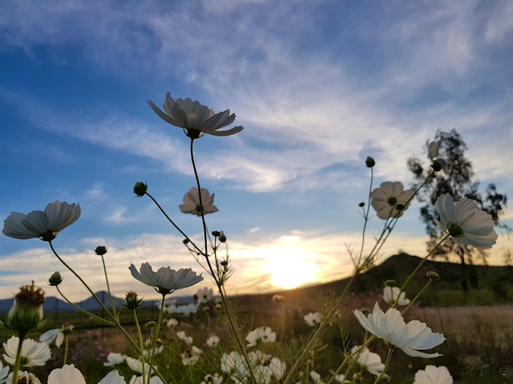 Drakensberg Accommodation at His Vessel Guest House | Viya