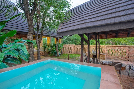 Kruger National Park South Accommodation at  | Viya