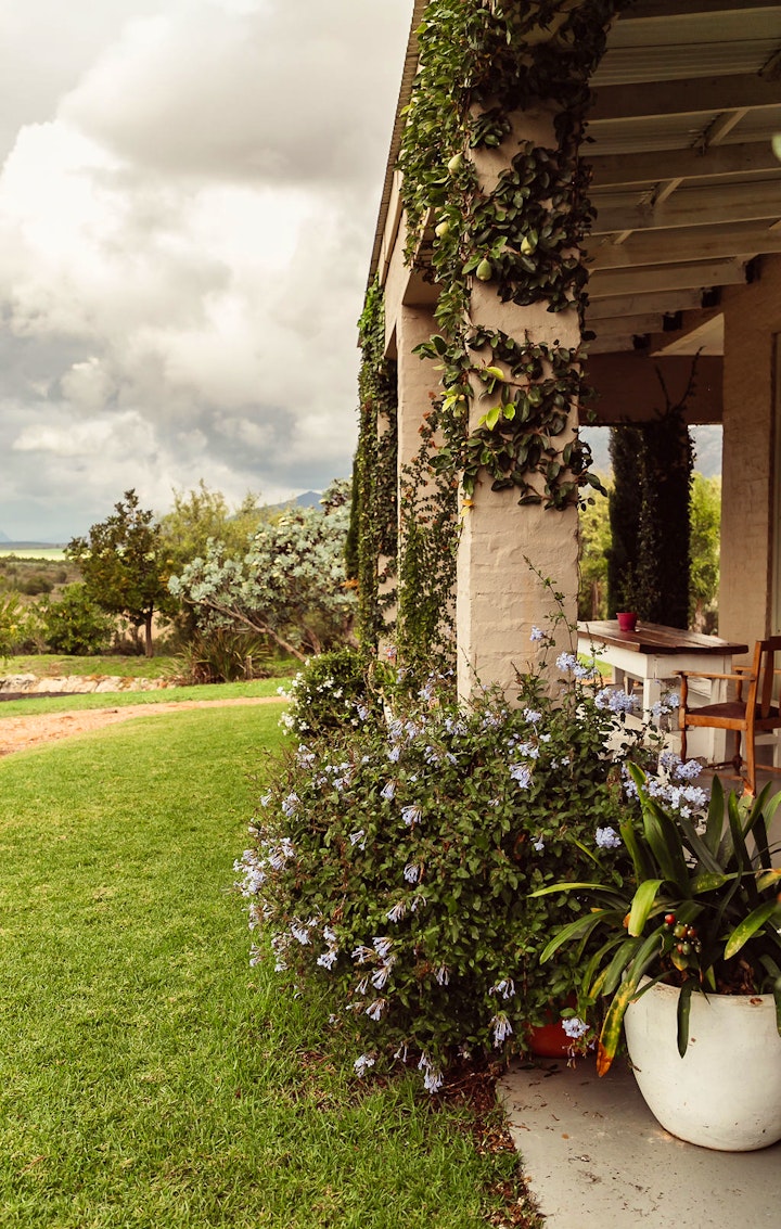 Western Cape Accommodation at Guinevere Guest Farm | Viya