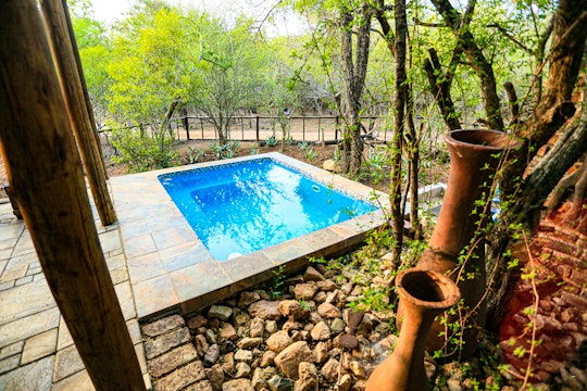 Kruger National Park South Accommodation at  | Viya