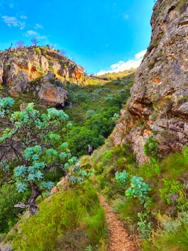 Cederberg Accommodation at Protea Chalet | Viya