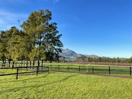 Stellenbosch Accommodation at Bona Vista Self-Catering Accommodation | Viya