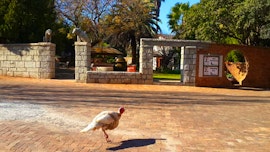 North West Accommodation at Kumkani Country Lodge | Viya