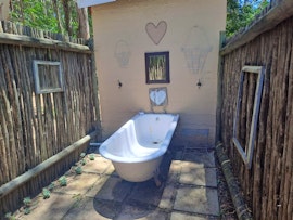 Free State Accommodation at De Hoop Forest Camp | Viya