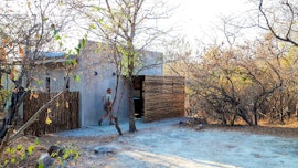 Kruger National Park South Accommodation at Terrapin Studio | Viya