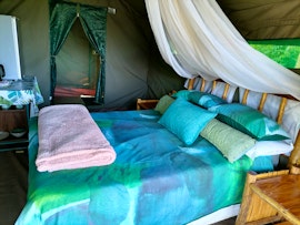 Panorama Route Accommodation at Chosen Glamping Accommodation | Viya