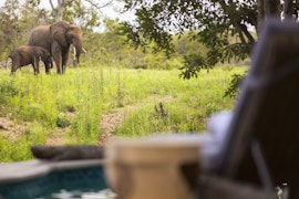 Kruger To Canyons Accommodation at Simbavati Amani | Viya