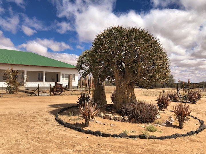 Northern Cape Accommodation at Vyfbeker Farmstay | Viya